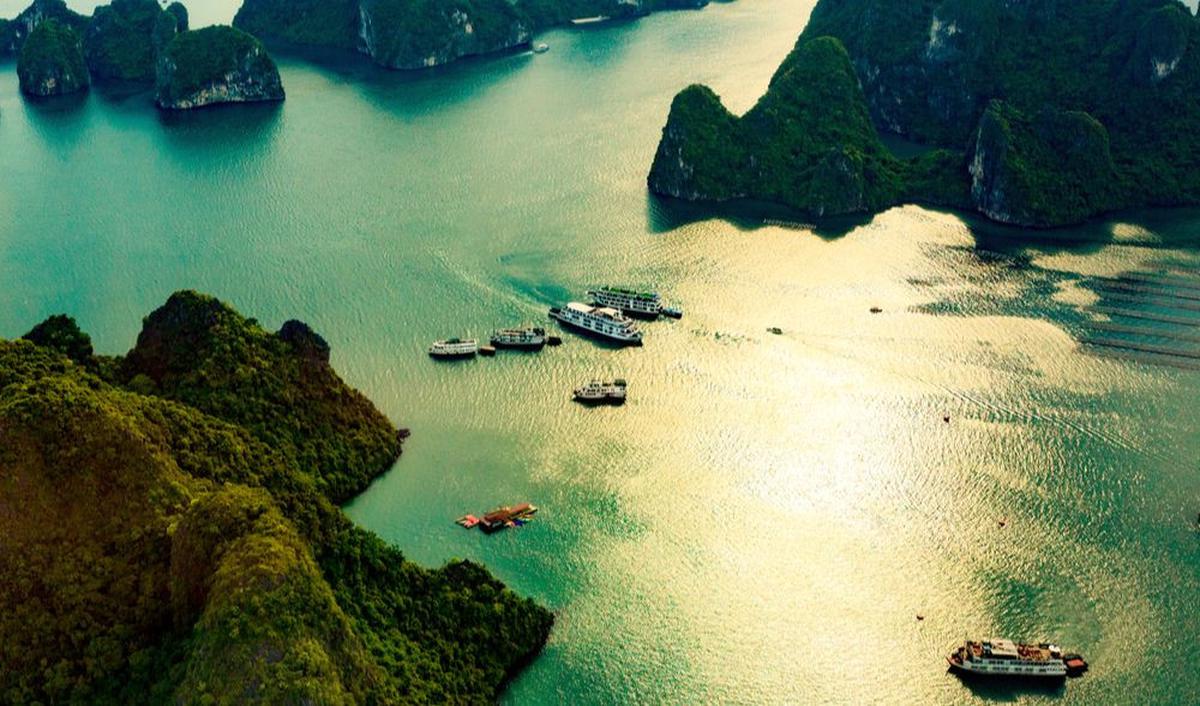 5.&nbsp;Atlas Pearl Farm