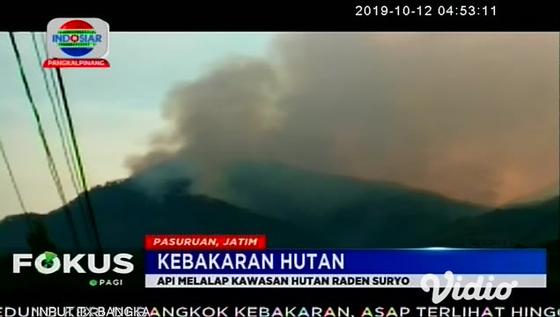 VIDEO: Taman Hutan Raya di Lereng Gunung Arjuno Terbakar, Pendakian Ditutup Sementara