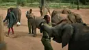 Naomi, salah seorang penjaga menyanyikan lagu untuk anak-anak gajah di Reteti Elephant Sanctuary, Namunyak Wildlife Conservancy, Kenya, Rabu (26/2/2020). Tempat konservasi ini memberi manfaat bagi masyarakat Samburu lokal yang tinggal bersama para gajah. (TONY KARUMBA/AFP)