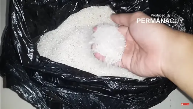 Tanpa Cabai atau Cuka, Begini Cara Hilangkan Kutu pada Beras Secara Efektif