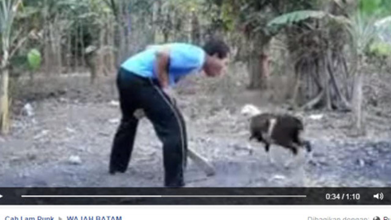 Buat hiburan saja, video ini pasti bikin Anda tertawa