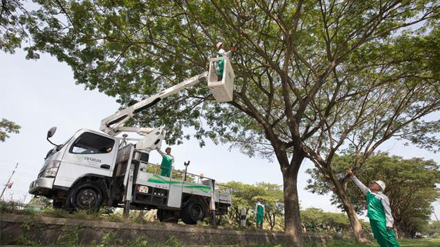 Djarum Foundation Tanam 10 Ribu Pohon Trembesi di Sepanjang Tol Semarang - Batang