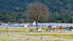 Foto ini menunjukkan pemandangan umum dari jaring yang dipasang oleh petani untuk melindungi tanaman mereka di sebuah sawah di Lhoknga, provinsi Aceh, pada tanggal 10 Januari 2024. (CHAIDEER MAHYUDDIN/AFP)
