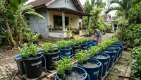 9 Cara Ternak Lele di Ember 50 Liter untuk Pemula agar Cepat Panen, Panduan Lengkap dan Praktis