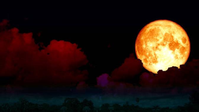 Strawberry Moon atau Bulan Purnama Penuh Stroberi yang akan muncul pada minggu ini. (iStock)