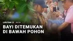 Bayi berjenis kelamin laki-laki ditemukan tergeletak di bawah pohon di Kabupaten Bekasi, Jawa Barat. Bayi tersebut lalu dibawa ke rumah sakit untuk dicek kesehatannya.