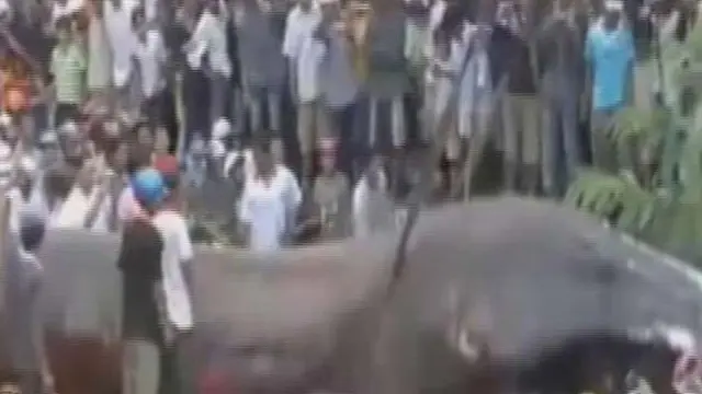 [VIDEO] Hewan Misterius Mirip Cacing Raksasa Gegerkan Kamboja