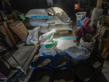 Warga melakukan penggilingan padi di kawasan Ciampea, Bogor, Selasa (20/2/2024). (merdeka.com/Arie Basuki)