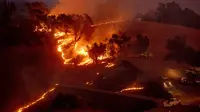 Kebakaran Hutan di California: Api membakar lereng bukit di kawasan Sonoma, California, Amerika Serikat pada 26 Oktober 2019. Kebakaran hutan kian tak terkendali akibat angin kencang yang bertiup. (AP Photo/Nuh Berger)