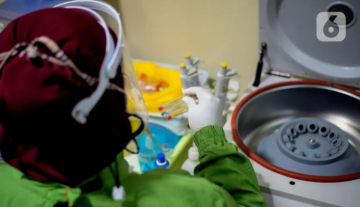 Staf Laboratorium Palang Merah Indonesia (PMI) Kota Tangerang saat bekerja di Laboratorium PMI Kota Tangerang, Banten, Jumat (28/8/2020). Kurangnya stok darah salah satunya karena pandemi COVID-19 yang menyebabkan berkurangnya pendonor. (Liputan6.com/Angga Yuniar)
