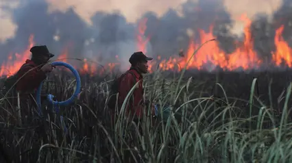 Karhutla Hanguskan 107 Ribu Hektare Hutan dan Lahan di Indonesia