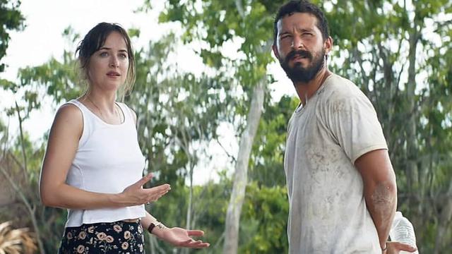 The Peanut Butter Falcon (2019)