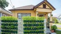 8 Inspirasi Kebun Kangkung Bertingkat untuk Panen Cepat di Halaman Rumah Kecil