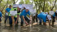 Ketua Pengelola Ekowisata Mangrove Wonorejo, Bapak Joko Suwondo (tengah) dan President Director Asuransi Astra, Christopher Pangestu (kiri) menanam bibit pohon mangrove di Ekowisata Mangrove Wonorejo, Surabaya. Kegiatan ini merupakan rangkaian perwujudan aspirasi keberlanjutan Estafet Peduli Bumi (EPB) dengan penanaman 5.000 bibit pohon mangrove, pengelolaan sampah dan penyaluran beasiswa hingga edukasi dan literasi keuangan. (Liputan6.com/HO)