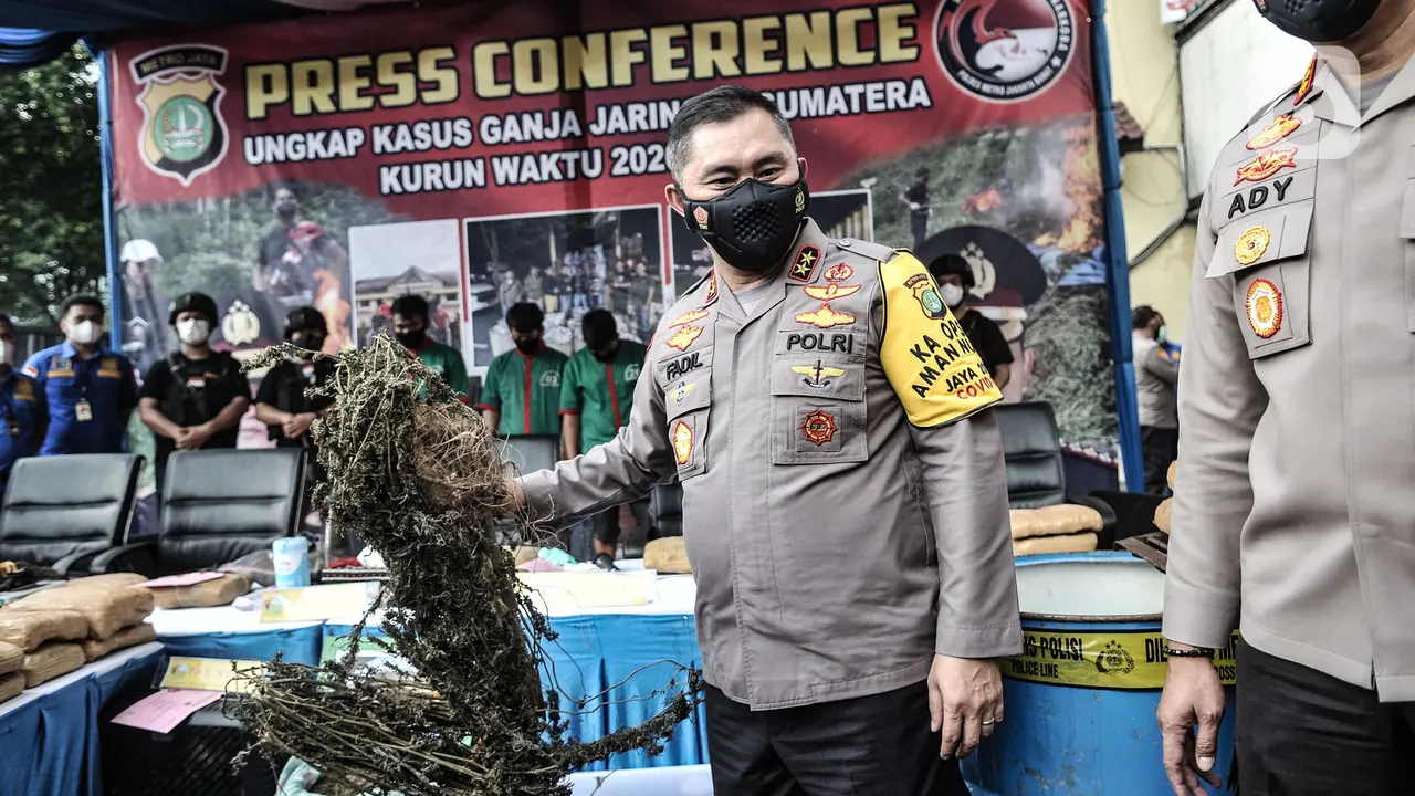 Pengungkapan Ladang Ganja Seluas 12 Hektare