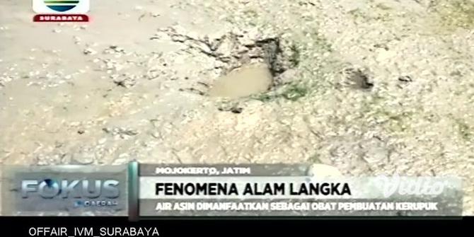 VIDEO: Fenomena 10 Petak Sawah di Mojokerto Keluarkan Sumber Air Asin