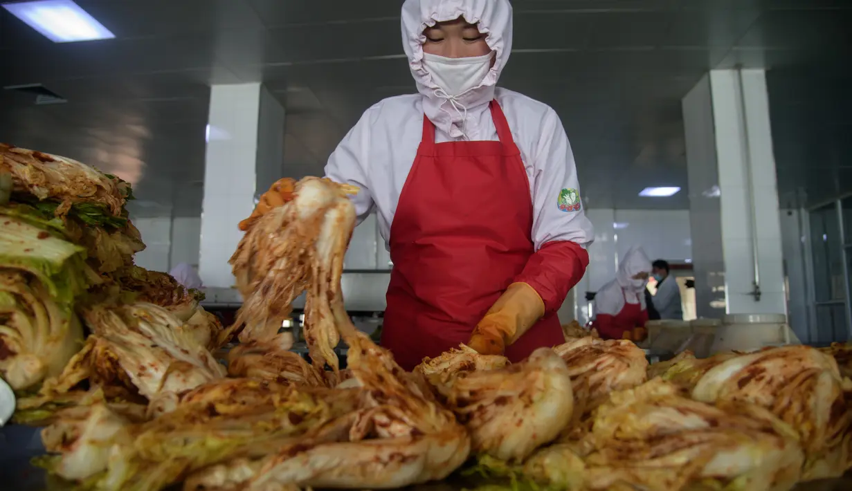 Seorang pekerja pekerja menyortir kubis di lini produksi pembuatan kimchi di Pabrik Kimchi Ryugyong di Pyongyang, Korea Utara pada 1 Desember 2020. Kimchi adalah salah satu makanan tradisonal paling favorit bagi Korea dan terkenal sebagai salah satu makanan sehat di dunia. (KIM Won Jin/AFP)