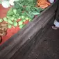 Sayur yang dijual di Pasar Kukun, Kabupaten Tangerang (Liputan6/Muhammad Jibril Razky Kamal)