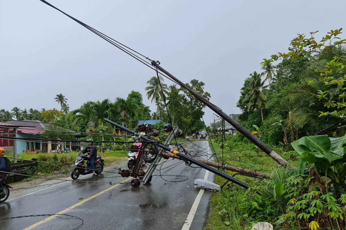 Cuaca ekstrem berupa angin kencang di Pulau Nias menyebabkan beberapa jaringan tertimpa pohon mengakibatkan beberapa wilayah mengalami padam listrik pada Jumat (5/11) pukul 11.34 WIB. (Dok. PLN)