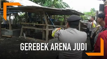 Wali Kota Probolinggo turun langsung gerebek arena judi sabung ayam yang meresahkan.