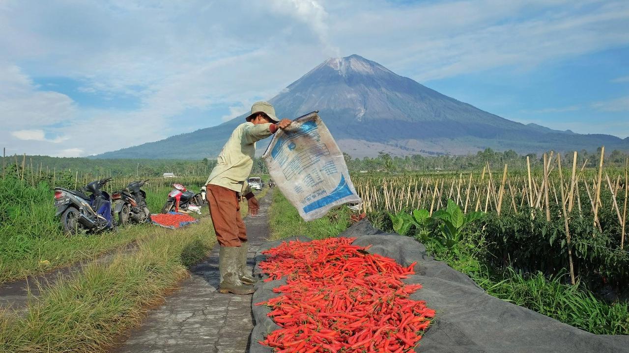 BRI Salurkan KUR Rp65,95 Triliun, Jangkau 558 Ribu Petani & 23 Ribu Nelayan per April 2026