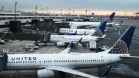 United Airlines flights have again experienced systemic technological disruptions, causing mass delays and cancellations. What caused this recurring problem, and what impact does it have?