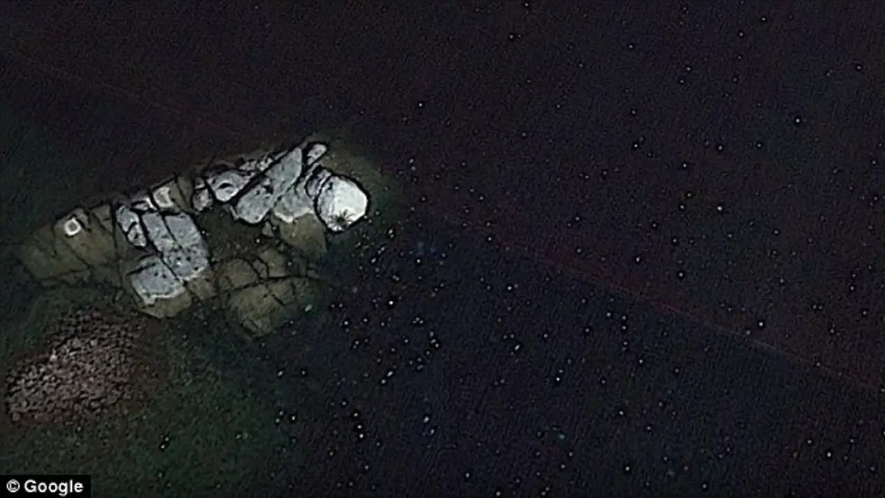 Penampakan Laba-laba Raksasa di Pulau Tak Berpenghuni, Alien?
