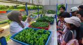 Siswa dari salah satu sekolah dasar menyimak penjelasan terkait pola dan sistem pertanian hidroponik di Ladang Farm, Lebak Bulus, Jakarta, Kamis (30/4/2026). Ladang Farm, kebun pertanian perkotaan vertikal setinggi 18 meter yang berlokasi di Lebak Bulus, Jakarta (Ladang Farm), kini menjadi pusat agro eduwisata. (merdeka.com/Arie Basuki)