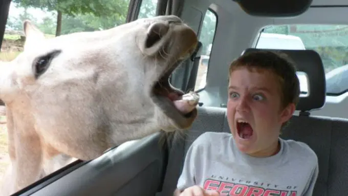 Gambar GIF yang Memperlihatkan Kejutan Tak Selalu Menyenangkan