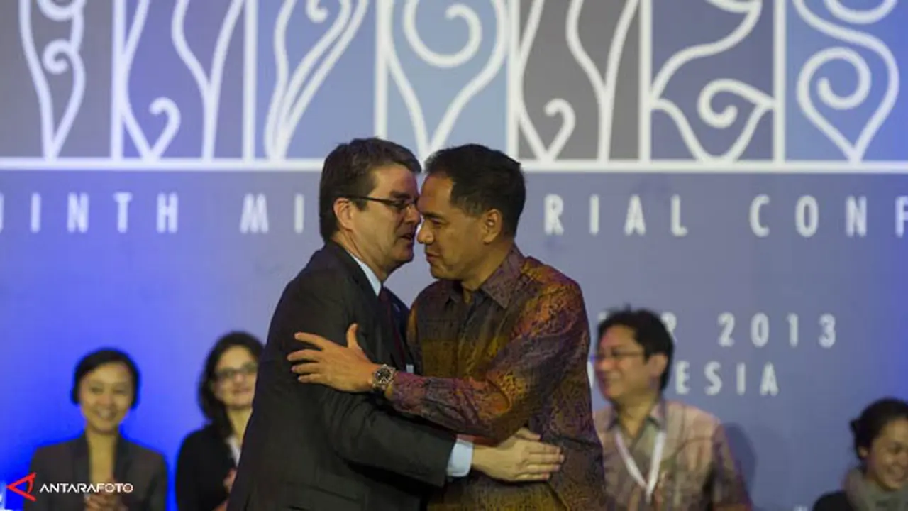 wto-1311208b.jpg