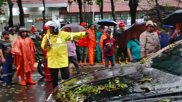 Penampakan 5 Mobil yang Tertimpa Pohon Besar di Dharmawangsa hingga Tewaskan 1 Orang