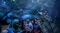 Pengunjung mengamati ikan di dalam akuarium di SeaWorld Ancol, Jakarta, Minggu (25/12). Seaworld menjadi tempat favorit pengunjung dalam liburan dikarenakan mereka bisa sambil belajar untuk putra-putrinya mengenal biota laut. (Liputan6.com/Faizal Fanani)