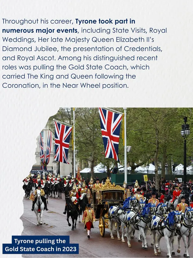 Kuda Kesayangan Ratu Elizabeth II Resmi Pensiun Setelah 14 Tahun Mengabdi, Akhir dari Pengabdian untuk Kerajaan Inggris