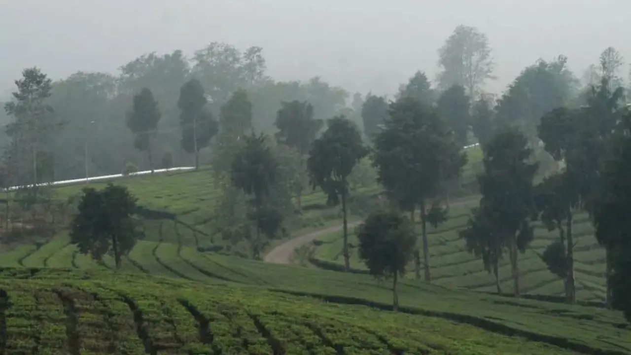 Gunung Urug di Tasikmalaya Jawa Barat