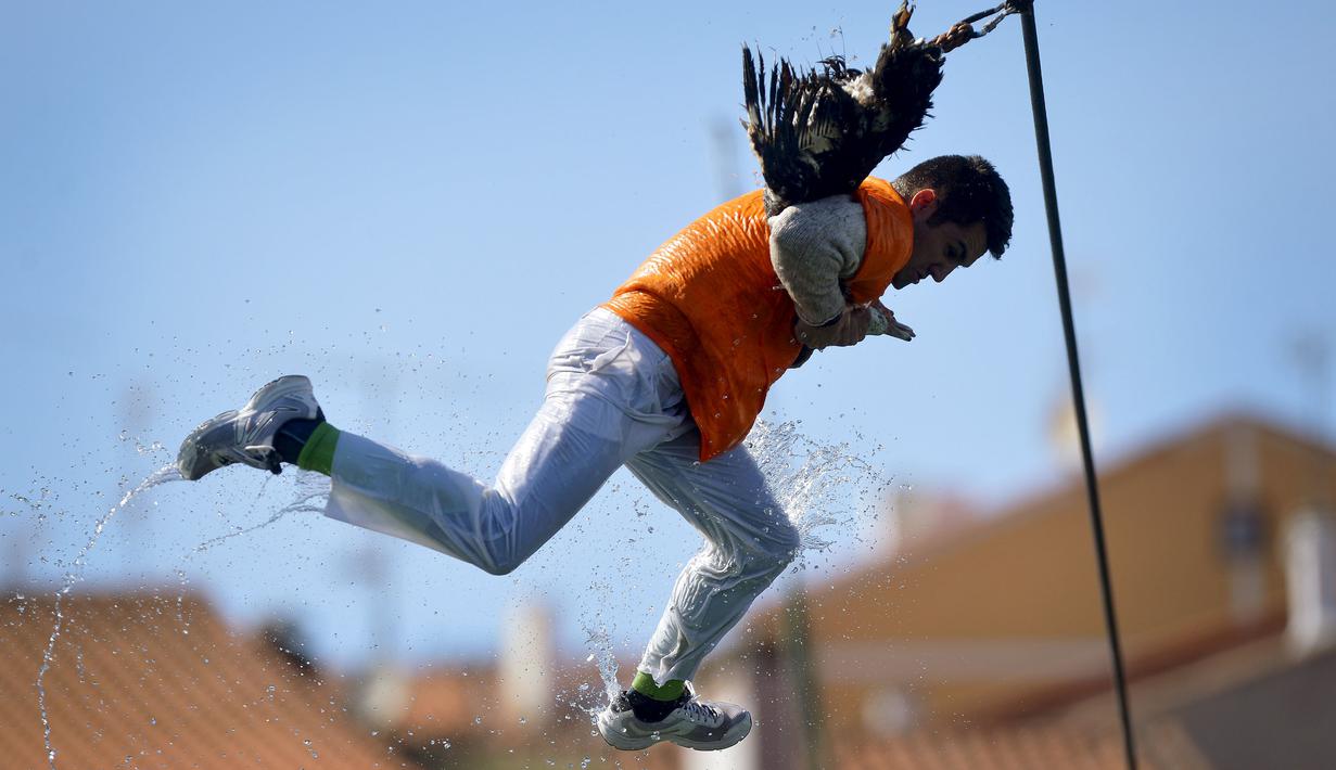 Seorang pemuda melompat berusaha untuk merobek kepala seekor angsa mati pada Hari angsa atau Antzar Eguna di Spanyol, Minggu (6/9/2015). Kompetisi ini juga ajang adu kejantanan untuk menarik hati para gadis.(REUTERS/Vincent West)