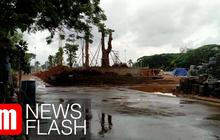 VIDEO: Pohon Mahoni Ditebang, Pohon Pule Ditanam di Monas