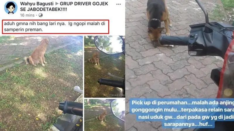 Ketemu Anjing, Ini 5 Aksi Kocak yang Dilakukan Ojol