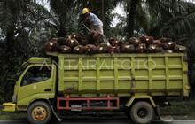 UMP Kalteng 2026 Resmi Naik Rp212 Ribu, Jadi Rp3,6 Juta Lebih