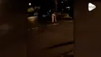 Insiden penembakan di Bar California Amerika Serikat tewaskan 12 orang. Aksi ini terekam salah satu pengunjung bar.