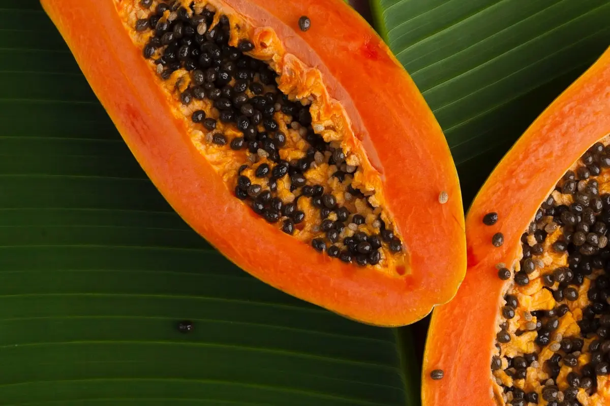 Pepaya