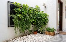 8 Inspirasi Gravel Garden untuk Sudut Rumah yang Jarang Dipakai, Minim Perawatan dan Estetik