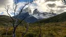 Pemandangan Taman Nasional Torres del Paine di wilayah Magallanes, Chile pada 16 April 2019. Berwisata ke taman nasional ini akan mengajak pengunjung berpetualang dan bertemu dengan beragam flora dan fauna hutan dalam kondisi alamiah mereka. (Ana FERNANDEZ / AFP)