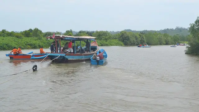 Laguna Segara Anakan ideal sebagai habitat buaya. (Foto: Liputan6.com/Muhamad Ridlo)
