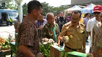 Bupati Cirebon Imron Rosyadi saat meninjau persiapan ekspor Mangga Gedong Gincu ke Timur Tengah. Foto (Liputan6.com / Panji Prayitno)