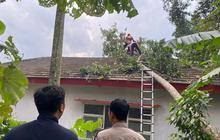 Angin Kencang Jember Tewaskan Satu Warga, BPBD Imbau Waspada Cuaca Ekstrem