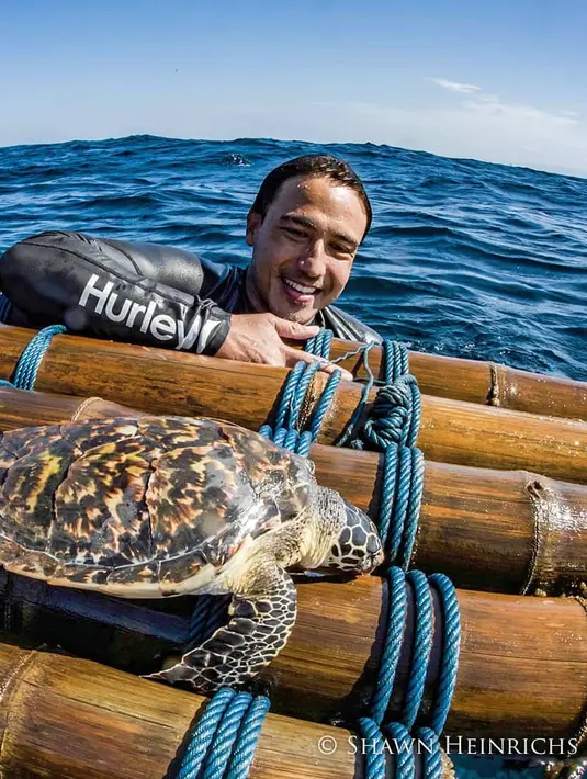 (Instagram/hamishdw)