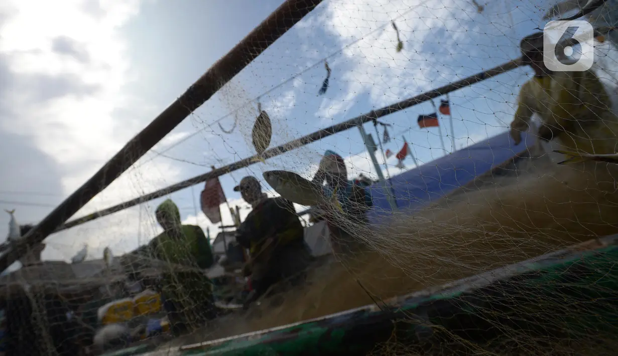 Nelayan mengumpulkan ikan hasil tangkapan di Pelabuhan Cilincing, Jakarta, Selasa (1/3/2022). Sejumlah komoditas ikan laut di pasaran mengalami kenaikan harga hingga 5 persen disebabkan cuaca buruk di laut dalam sepekan terakhir sehingga nelayan berhenti melaut sementara. (merdeka.com/Imam Buhori)