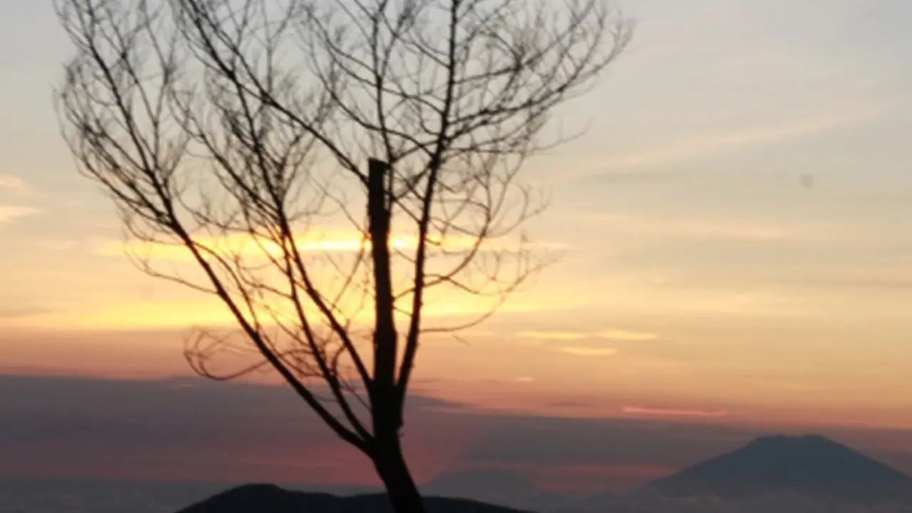 131130abukit.jpg
