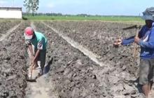 Tips Jaga Kesehatan di Musim Kemarau Basah