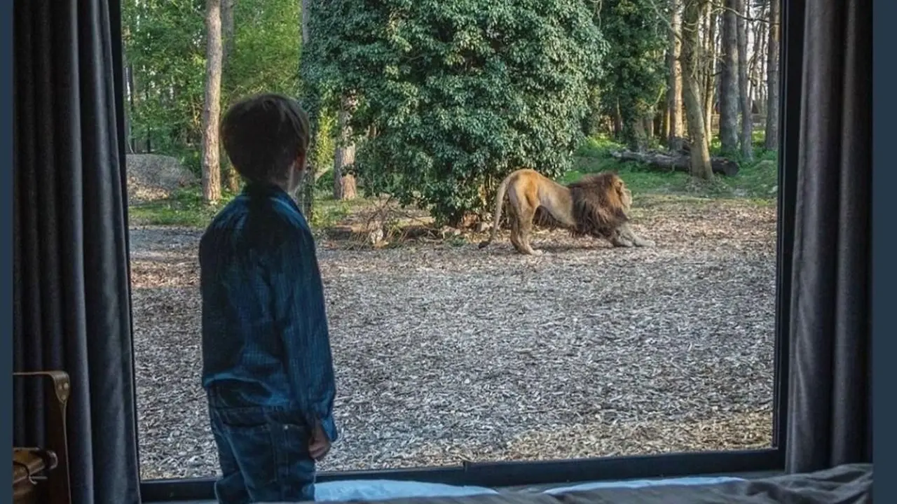 Port Lympne Hotel and Reserve